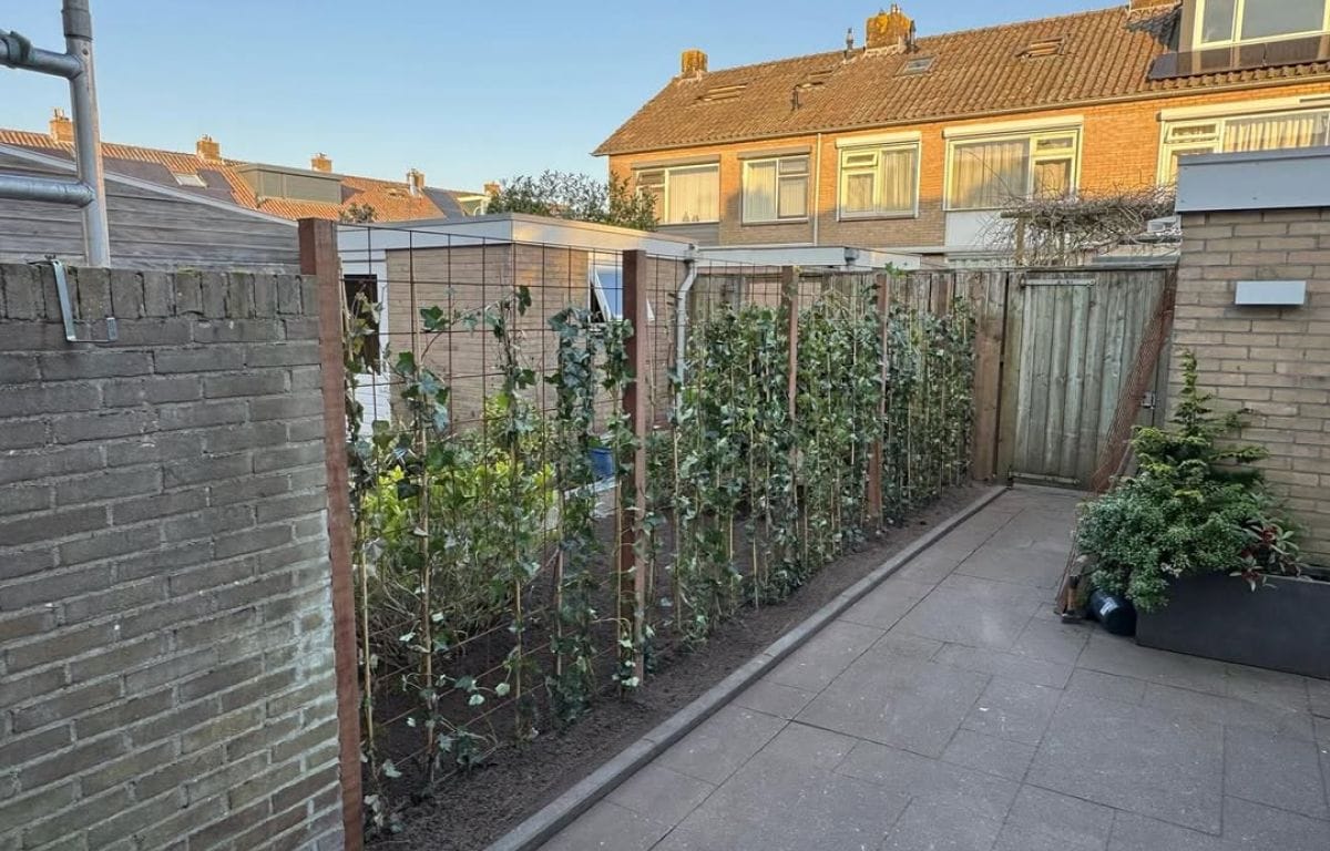 project-temp3 Hovenier regio Epe